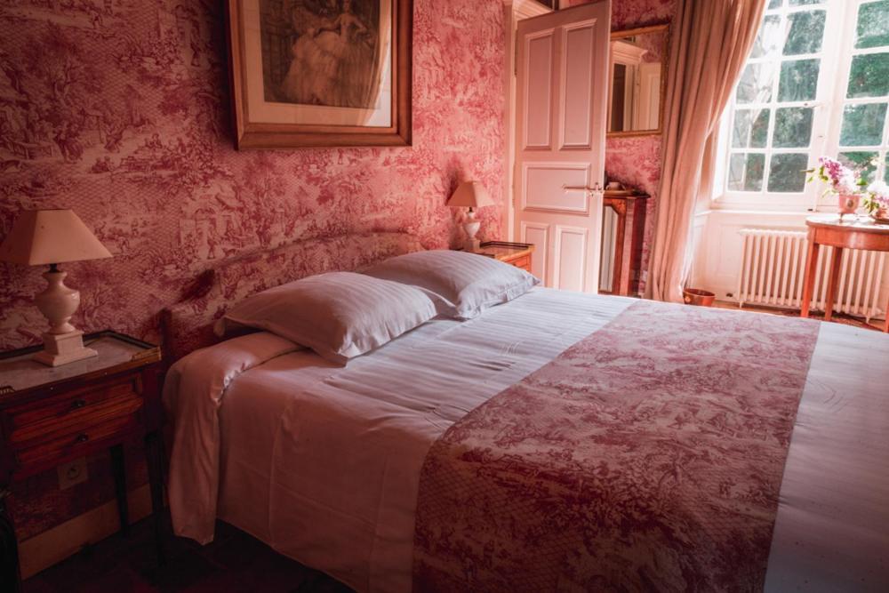 Chateau Du Plessis - Anjou La Jaille-Yvon Dış mekan fotoğraf